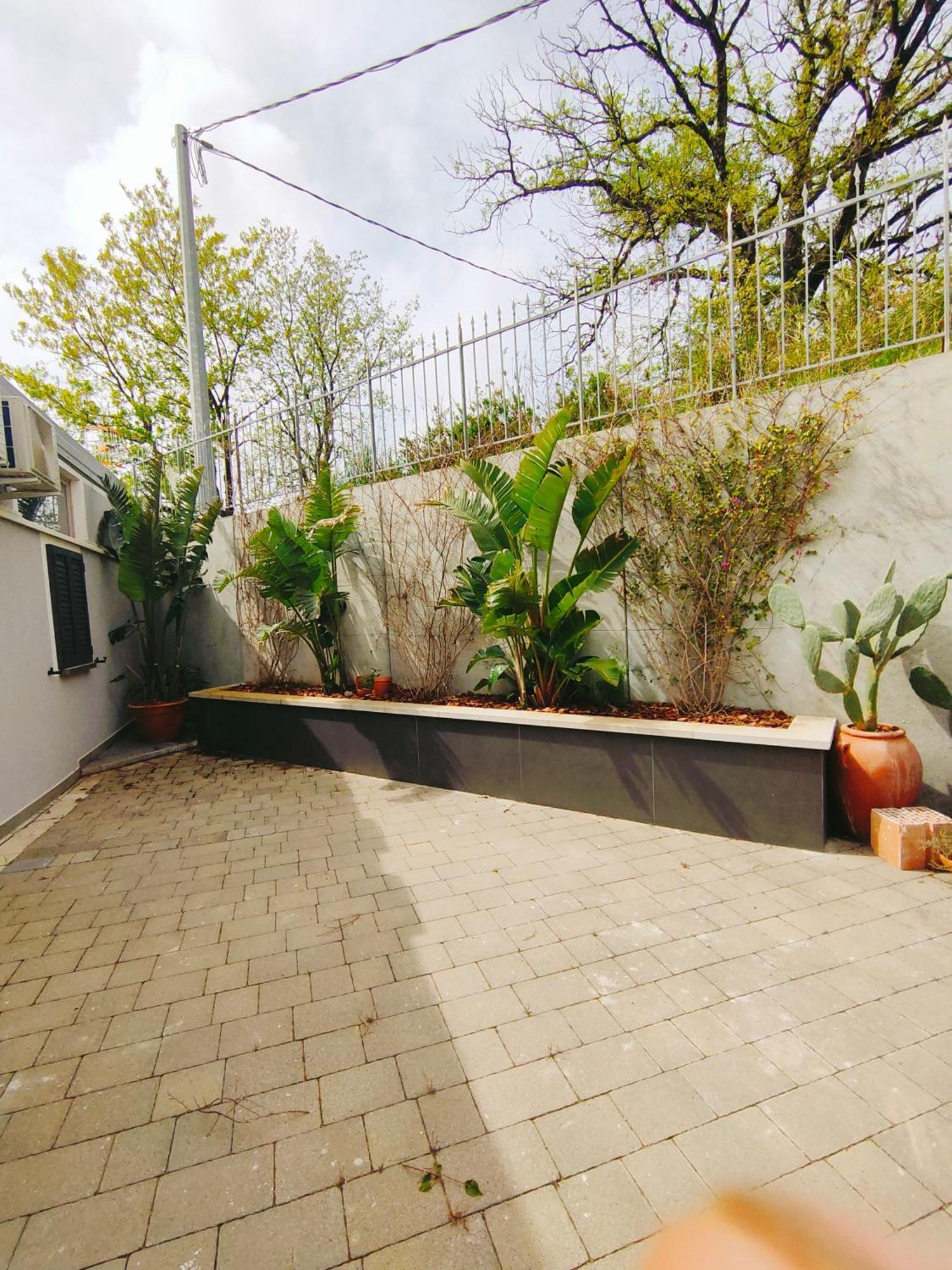 Collimare Bed And Breakfast Golfo Di Policastro 폴리카스트로 부센티노 외부 사진